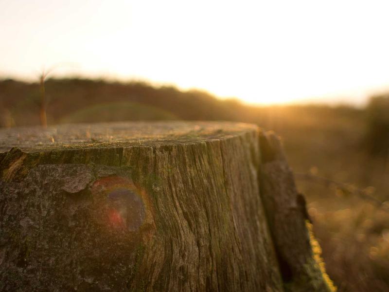 sudoku zen mode screenshot 3