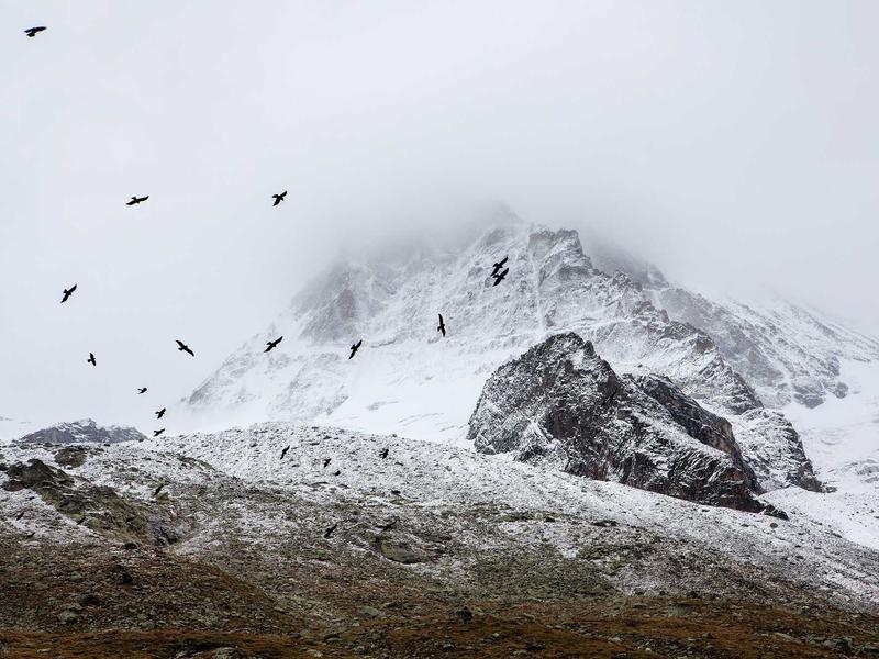 sudoku zen mode screenshot 2